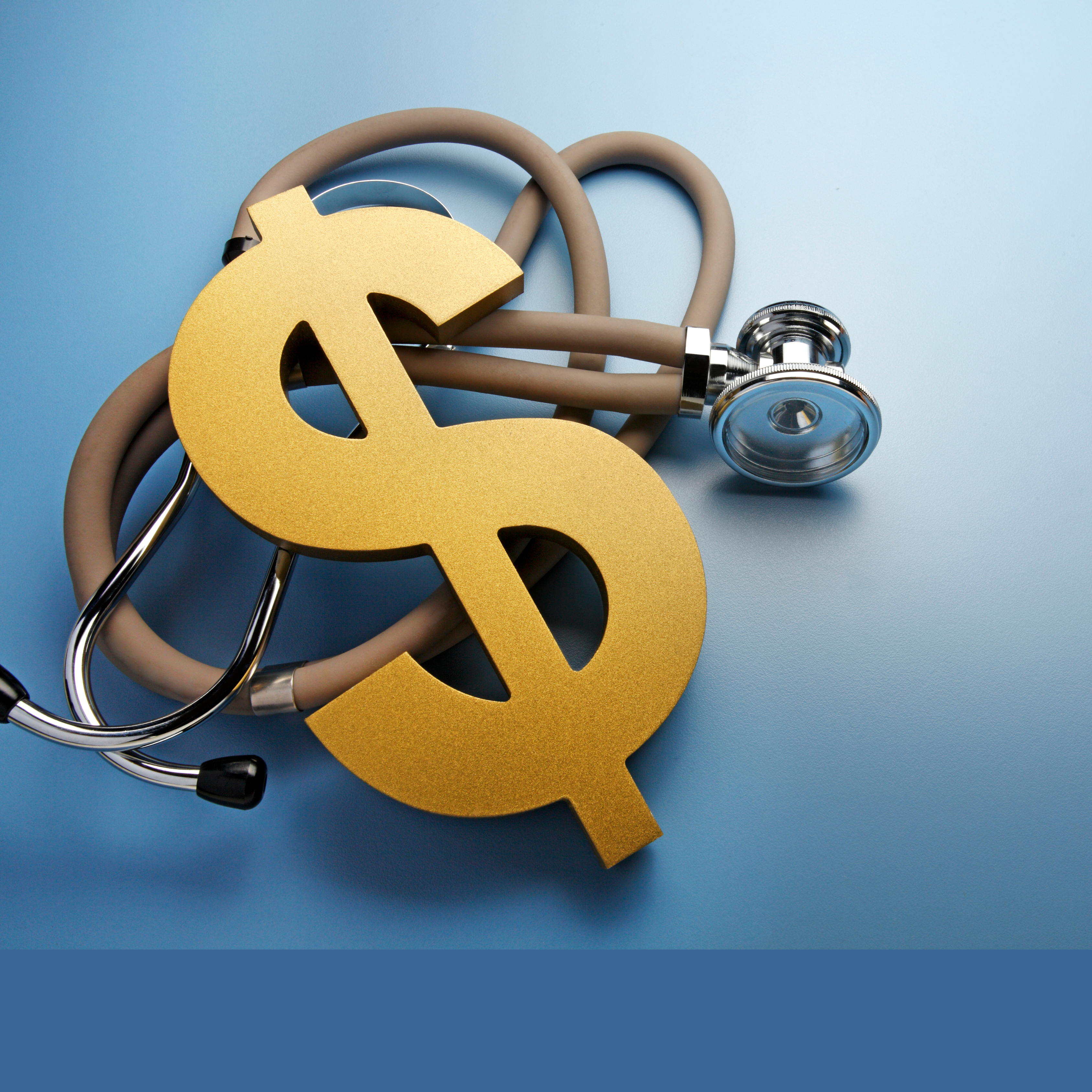 높은 운영 비용