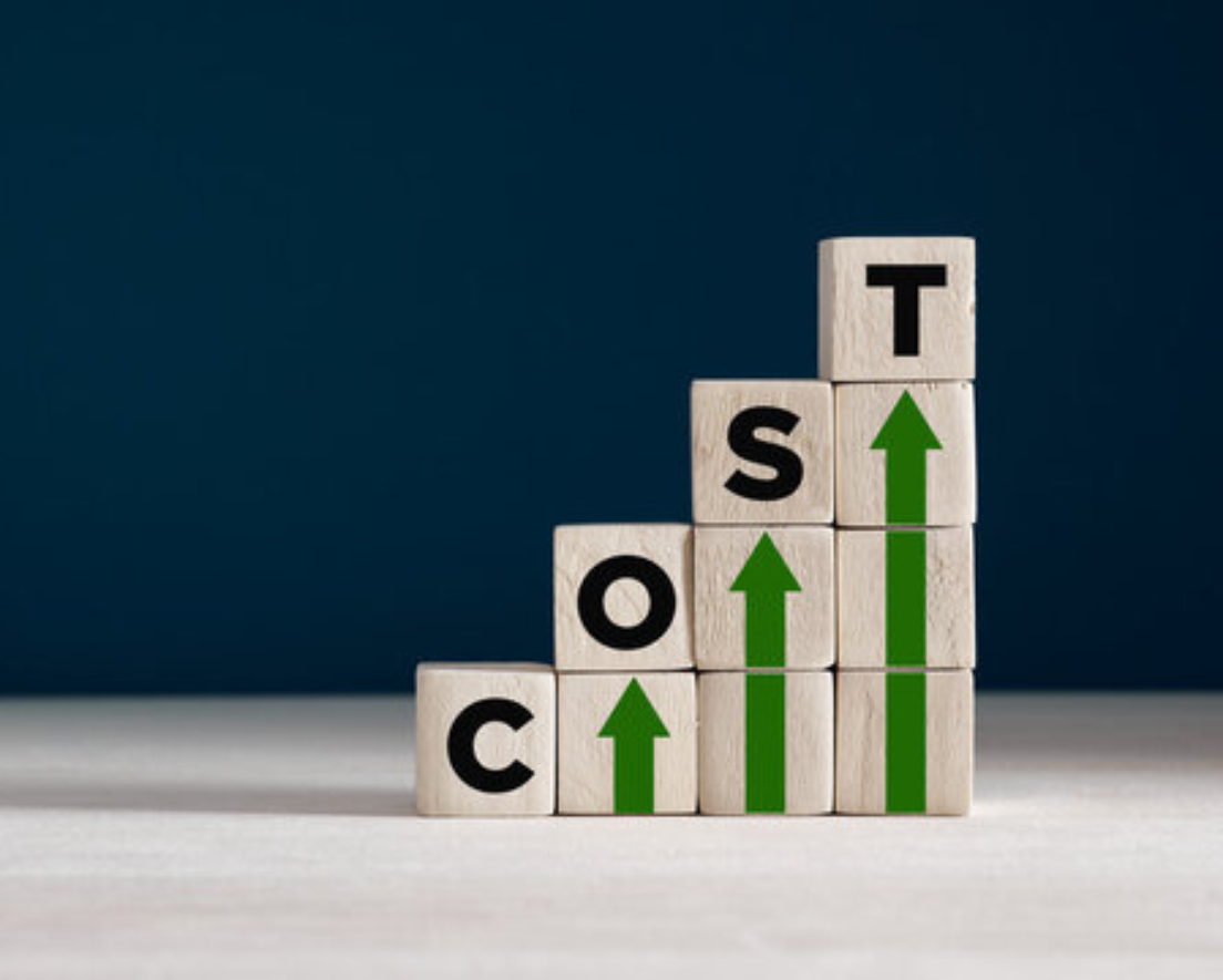 High development costs